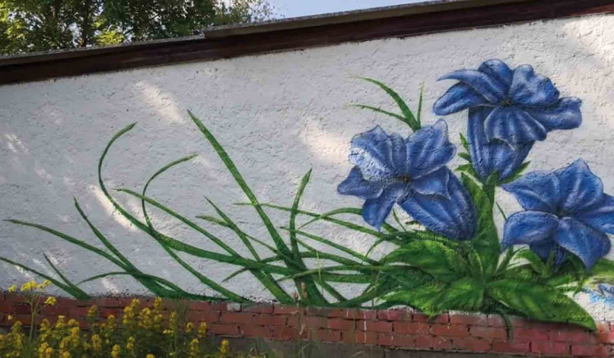 Graffiti-Auftragsarbeiten